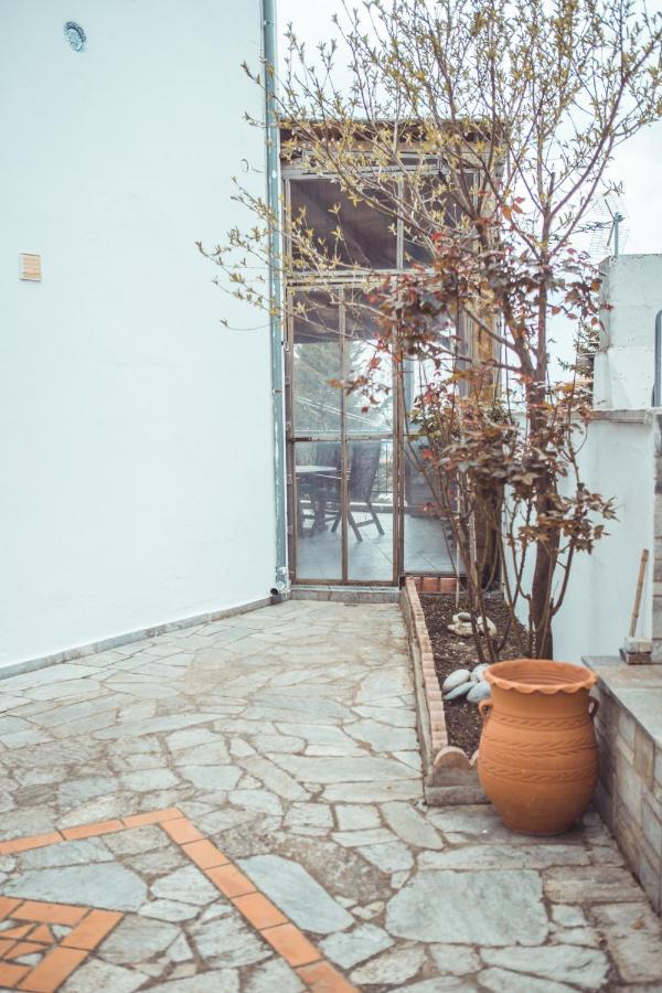 Violetta's House Παραδοσιακή Βίλα στην Πορταριά Βίλα Εξωτερικό φωτογραφία